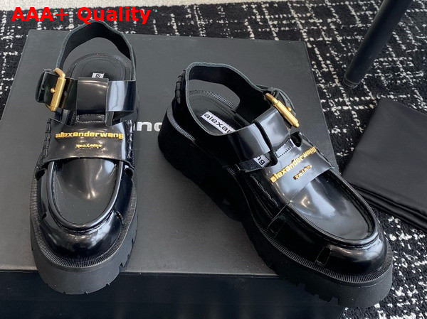 Alexander Wang Carter Cage Sandal in Black Box Calf Replica