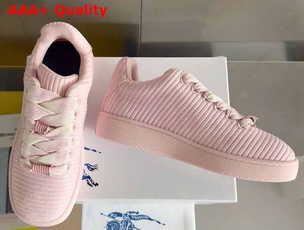 Burberry Check Knit Box Sneakers in Cameo Replica