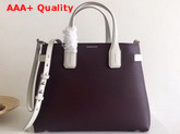 Burberry Medium Banner in Two Tone Leather Mahogany Red and Limestone Replica