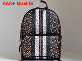 Burberry Monogram Stripe Print E Canvas Backpack Bridle Brown Replica