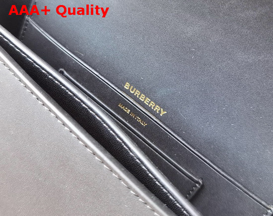 Burberry Small Leather Olympia Bag in Black Replica