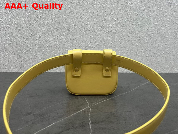 Celine Belt Bag Triomphe Belt in Shiny Calfskin Pollen Replica