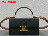 Celine Box Triomphe in Triomphe Canvas and Calfskin Tan Replica