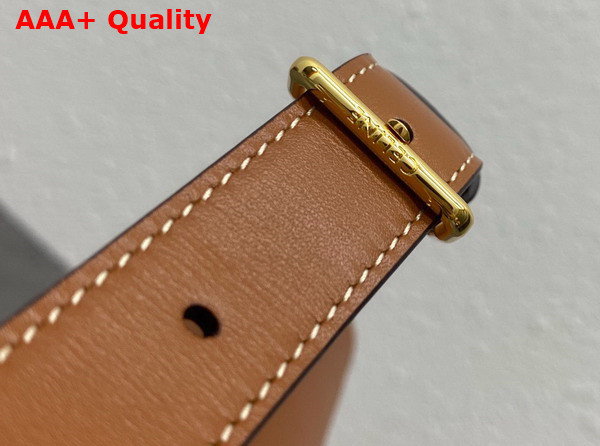 Celine Classique Triomphe Bag in Bronze Shiny Calfskin Replica