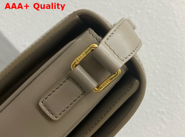 Celine Classique Triomphe Bag in Pebble Shiny Calfskin Replica