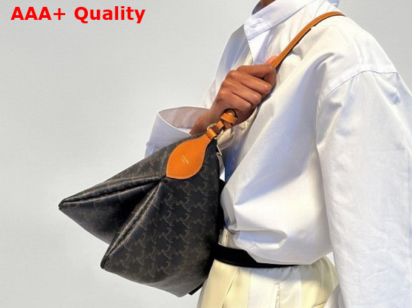 Celine Duo in Toile Triomphe L105T3N45 Replica