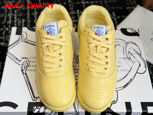 Celine Freestyle Lo By Celine Reebok Butter 368915533 Replica