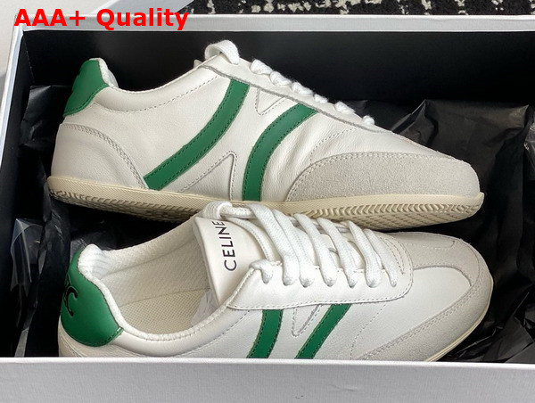 Celine Jogger Low Lace Up Sneaker in Calfskin and Suede Calfskin Optic White Green Grey Replica