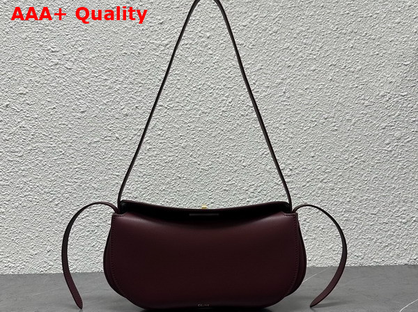 Celine Little Hot Dog in Syrah Natural Calfskin Replica