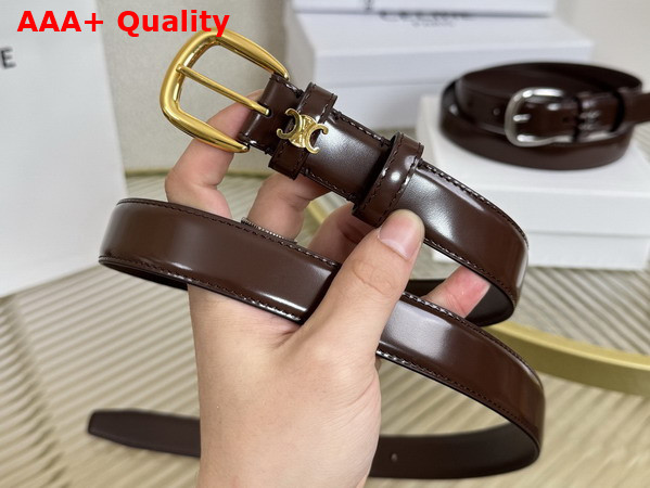 Celine Medium 25mm Vivienne Belt in Chestnut Taurillon Leather Replica