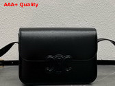 Celine Medium Bag Cuir Triomphe in Black Natural Calfskin Replica