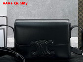 Celine Medium Bag Cuir Triomphe in Natural Calfskin Black Replica