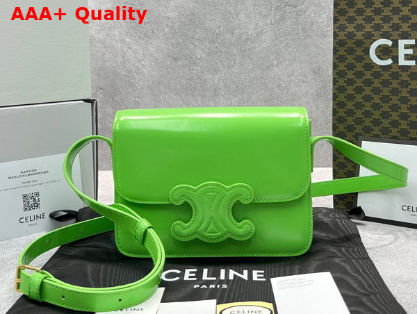 Celine Medium Bag Cuir Triomphe in Natural Calfskin Light Green Replica