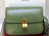 Celine Medium Box Bag Light Green Box Calfskin For Sale