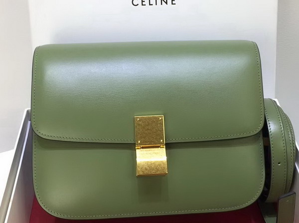 Celine Medium Box Bag Light Green Box Calfskin For Sale