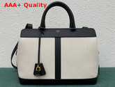 Celine Medium Cabas De France Bag in Textile and Calfskin Natural Black Replica