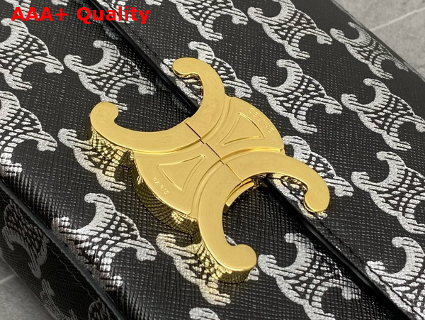 Celine Medium Celine Lola Bag in Triomphe Canvas Two Tone Black Replica