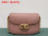 Celine Medium Maillon Triomphe Bag in Pink Natural Calfskin Replica