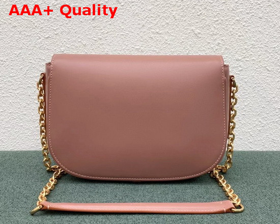 Celine Medium Maillon Triomphe Bag in Pink Natural Calfskin Replica