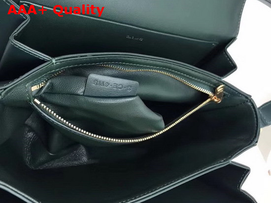 Celine Medium Triomphe Bag in Amazone Shiny Calfskin Replica