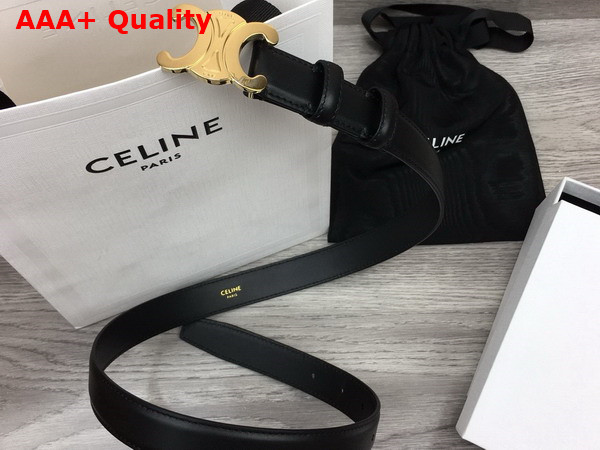 Celine Medium Triomphe Belt in Black Natural Calfskin Replica