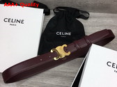 Celine Medium Triomphe Belt in Chestnut Natural Calfskin Replica