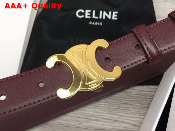 Celine Medium Triomphe Belt in Chestnut Natural Calfskin Replica