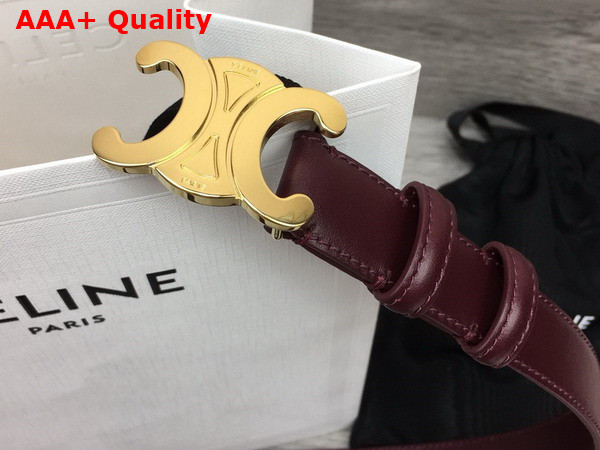 Celine Medium Triomphe Belt in Chestnut Natural Calfskin Replica