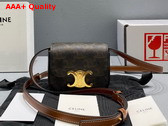 Celine Mini Triomphe in Triomphe Canvas and Calfskin Replica