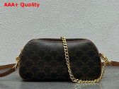 Celine Multi Bag in Triomphe Canvas and Calfskin Tan Replica