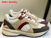Celine Runner Cr 03 Low Lace Up Sneaker in Mesh Suede Calfskin and Calfskin Multicolor Replica
