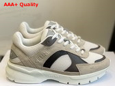 Celine Runner Cr 03 Low Lace Up Sneaker in Suede Calfskin Mesh and Calfskin Beige White Grey Replica