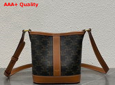 Celine Small Bucket in Triomphe Canvas and Calfskin Tan Replica