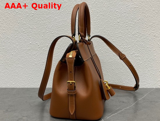 Celine Small Cabas De France in Shiny Calfskin Tan Replica