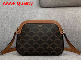 Celine Small Camera Bag in Triomphe Canvas Replica