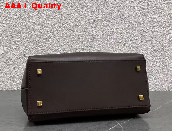 Celine Small Flair in Shiny Calfskin Chestnut Replica