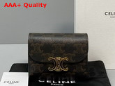 Celine Small Triomphe Wallet in Triomphe Canvas Tan Replica