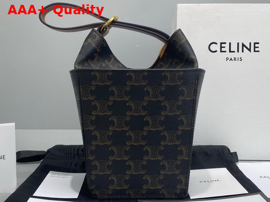 Celine Strap Box in Triomphe Canvas and Calfskin Tan Replica