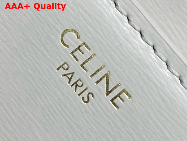 Celine Teen Celine Josephine Bag in Rice Shiny Calfskin Replica