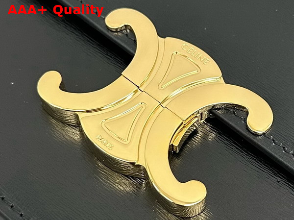 Celine Teen Garance Bag in Black Shiny Calfskin Replica