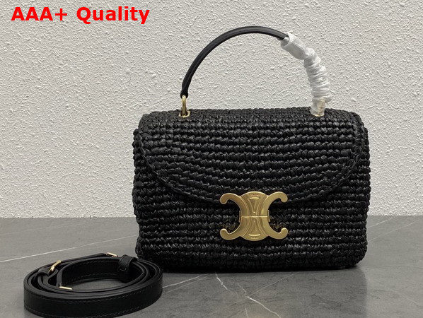 Celine Teen Nino Bag in Black Raffia and Calfskin 118112 Replica