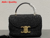 Celine Teen Nino Bag in Black Raffia and Calfskin 118112 Replica