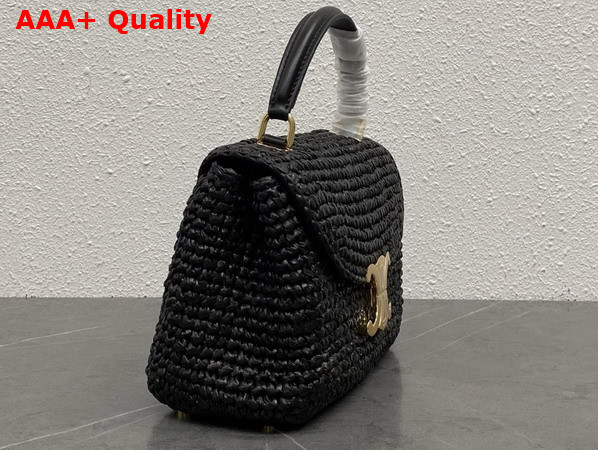 Celine Teen Nino Bag in Black Raffia and Calfskin 118112 Replica