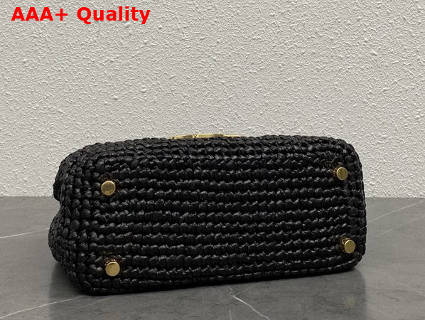 Celine Teen Nino Bag in Black Raffia and Calfskin 118112 Replica