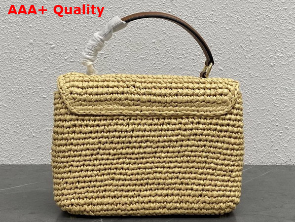 Celine Teen Nino Bag in Raffia and Calfskin Natural and Tan 118112 Replica
