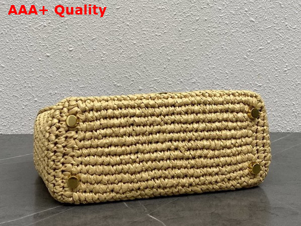 Celine Teen Nino Bag in Raffia and Calfskin Natural and Tan 118112 Replica