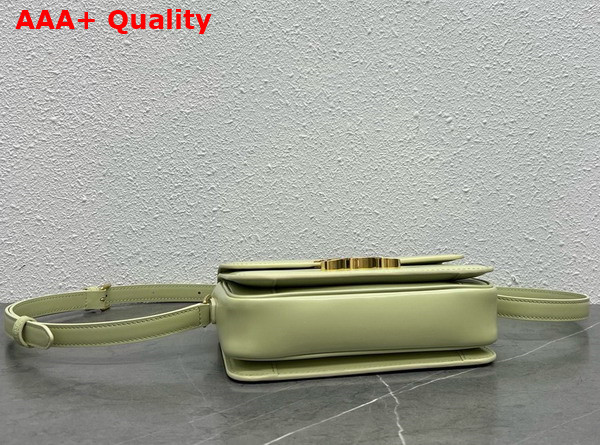 Celine Teen Triomphe Bag in Almond Green Shiny Calfskin Replica