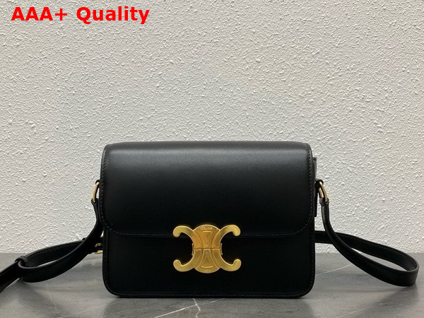 Celine Teen Triomphe Bag in Black Shiny Calfskin Replica