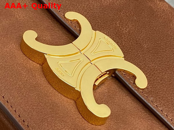 Celine Teen Triomphe Bag in Chestnut Grained Nubuck Calfskin 188423 Replica