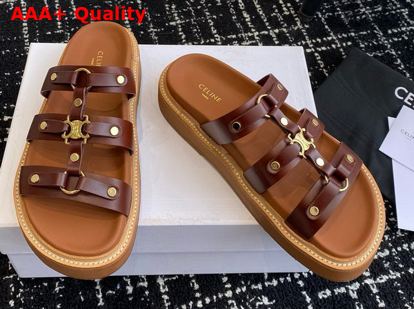 Celine Tippi Slide in Dark Brown Calfskin Replica